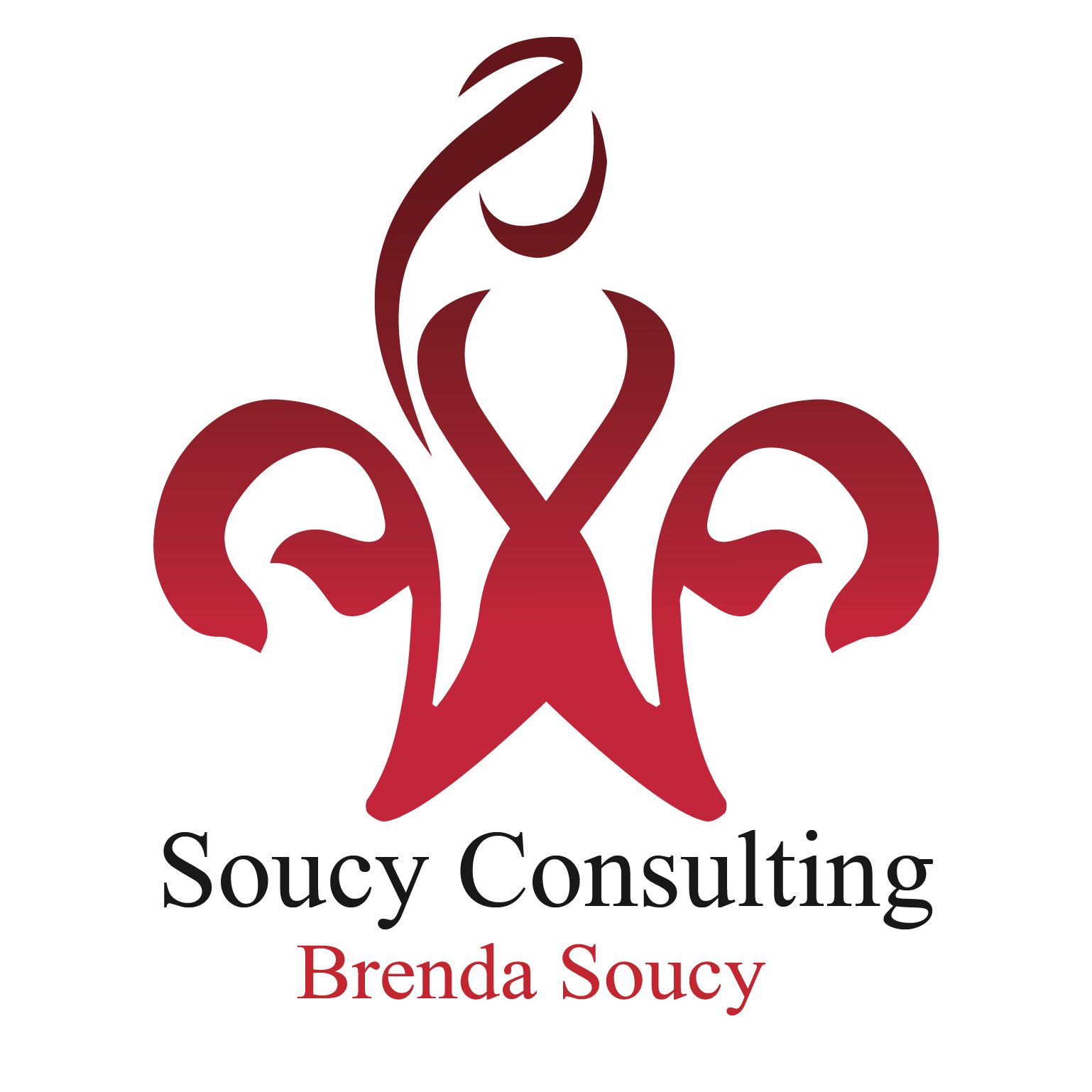 Soucy Consulting Logo